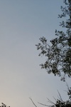 2020-09-12_19-48-22_2020-9-12-19-21-23.jpg