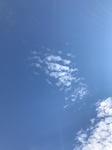 2020-08-03_21-12-14_2020-7-29-17-30-54.jpg