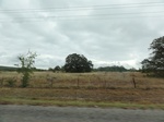 35805DSC02568.JPG