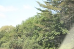 2022-06-11_18-08-04_30DD0686-F724-4ED7-9253-5A52F672937C.jpeg