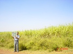 6491gt025-cropland-1.jpg