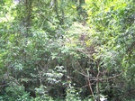 17517100_2774.JPG