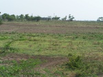 1772423042008(14).JPG