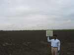 7964gt88a_cropland_farmfallow_sunflower.jpg