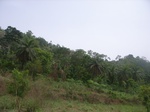 3767RIMG0071.JPG
