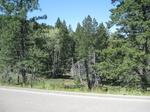2012-10-05_19-36-53_NM-OT-1-2.JPG