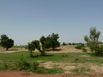 19161P1010007.JPG