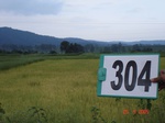 74030304a-irrigated-supplemental-tank-rice-doublecrop-wheat.jpg