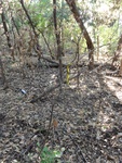 2012-09-24_10-40-17_DSC03115.JPG