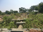 41230CIMG8067.JPG