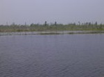 4512007-08-05_08-54-35_small.jpg