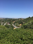 2017-05-27_17-05-32_17FD0722-0200-4AF1-9172-6006BE5970D0.jpg