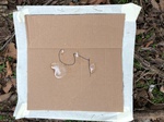 2020-10-30_10-44-36_Lake Arcadia Feb 15-2020 Trap 5.png