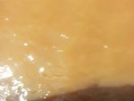 58108CIMG2402.JPG