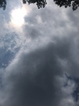 2020-08-10_12-59-58_2020-8-6-13-55-10.jpg