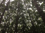 2017-09-10_06-57-43_328471B7-D129-4644-B8EF-677092E22D7D.jpg