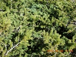 2012-09-27_14-25-53_184.JPG