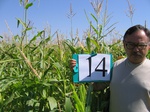 7995014-irrri-maize-sw-1b.jpg