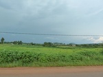 19690P1010539.JPG
