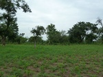 18695P1000533.JPG