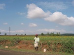 7906gt108a_mosaic_of_crops.jpg