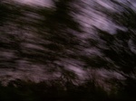 17373100_2059.JPG