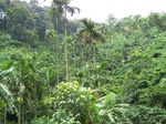 17493100_2748.JPG