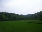 2012-09-08_18-23-39_RIMG0008.JPG