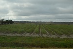 2021-02-02_11-47-07_DSC_0051.JPG