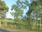 5870100_1550.JPG