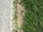 2017-07-01_13-48-19_1C4B9D2D-75E8-4002-B376-69D5EA01E4F1.jpg