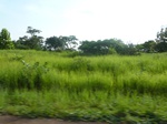 19848P1010698.JPG