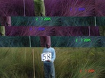 10752gt-058-wetland-wet-floodplain-03.jpg