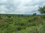 18515P1000351.JPG