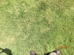 2012-10-02_04-44-58_CIMG0001.JPG