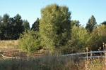 2012-09-04_09-24-17_DSC_0153.JPG