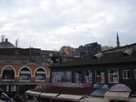 5915DSC05183.JPG