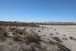 2022-01-21_16-29-57_4E8A6244.JPG