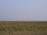 4555RIMG0008.JPG
