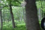 2018-04-14_14-44-47_2017-06-26 20.26.18.jpg