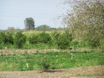 513322042008(73).JPG