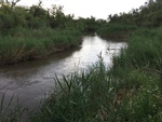2017-07-13_08-12-29_6032EA88-C94E-4048-9CF0-CC66CDB18DB9.jpg