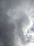 2020-11-09_19-01-17_20201109_143544.jpg