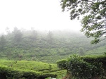 14845IMG_5238.JPG