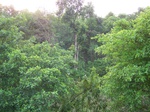 498519042008(84).JPG
