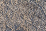 2012-09-02_21-43-21_DSC_1627.JPG