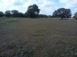 2012-09-03_20-32-44_IMG127.jpeg