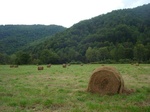 2012-09-19_15-52-14_NC-YN-4-1.jpg