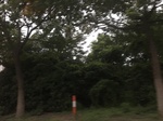 2017-09-12_13-38-20_79095791-4995-4451-BC2D-10E8D59D05E3.jpg