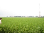 16053IMG_4791.JPG